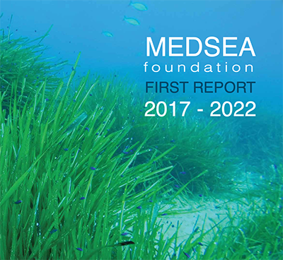 Read the MEDSEA 1st report 2017 - 2022: all projects and campaigns, all in once