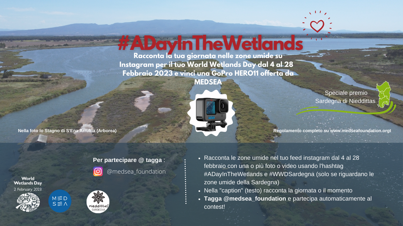 Partecipa al contest #ADayInTheWetlands