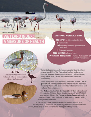 The Wetland Index