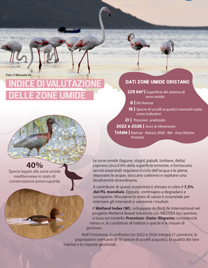 Indice di valutazione delle zone umide